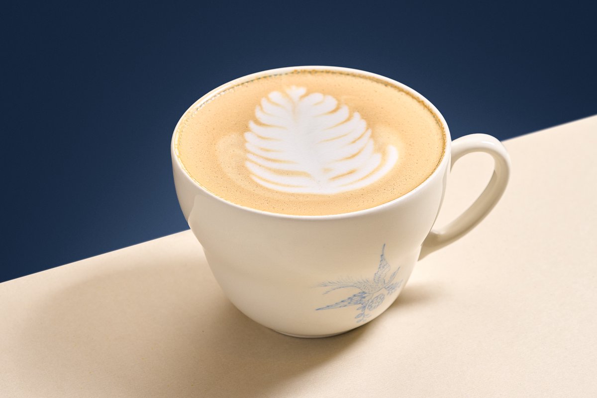 LARGE Cappucino